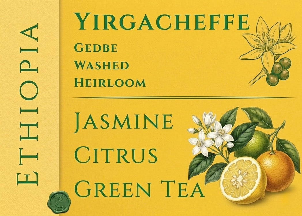 Ethiopia Yirgacheffe Washed Heirloom