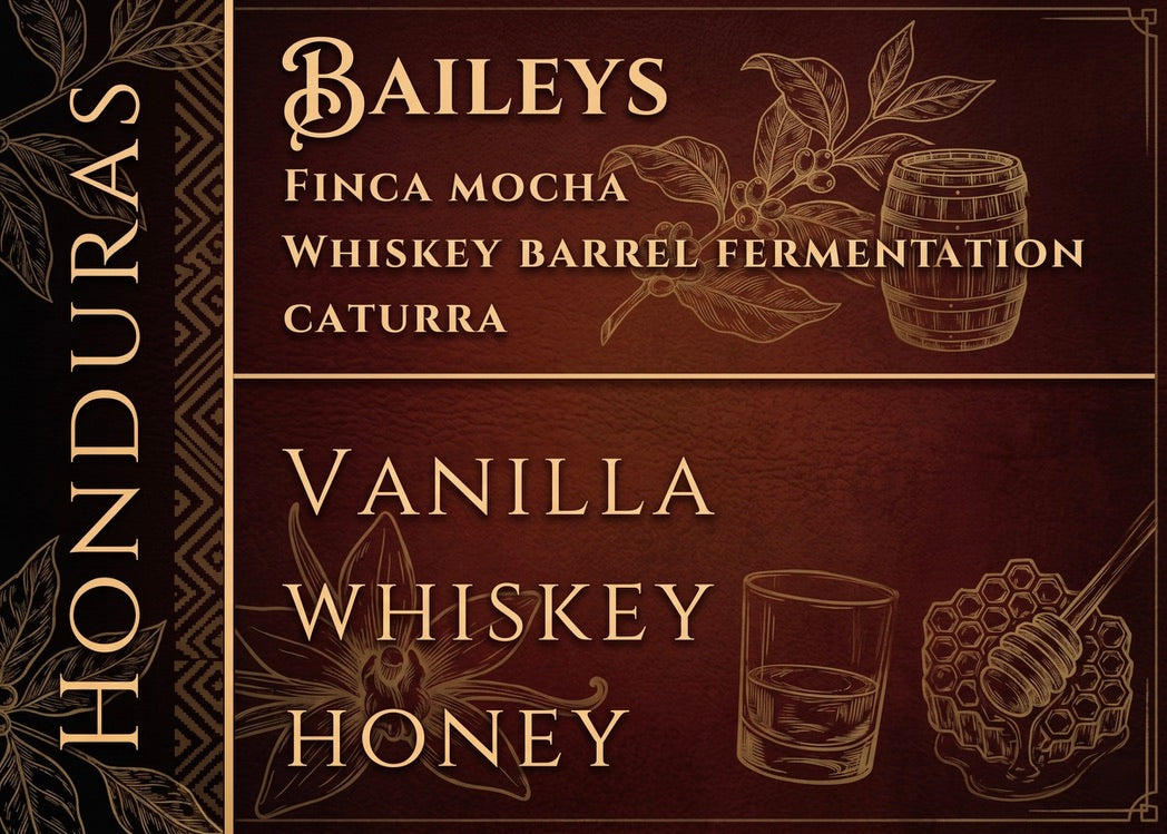 Honduras Baileys Whiskey Barrel Fem. Caturra