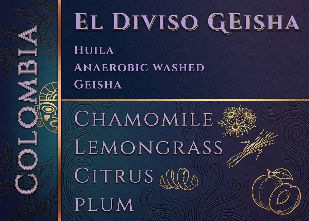 Colombia El Diviso Anaerobic Washed Geisha