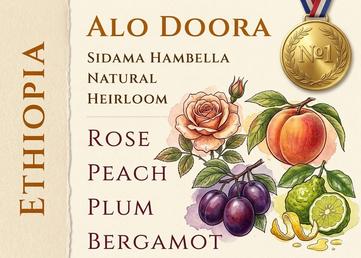 Ethiopia Alo Doora Natural Heirloom
