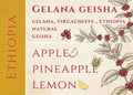 (NEW)Ethiopia Yirgacheffe Gelana Natural Geisha