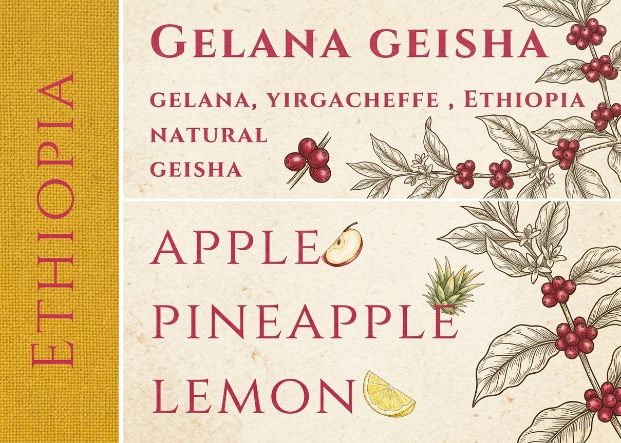 (NEW)Ethiopia Yirgacheffe Gelana Natural Geisha